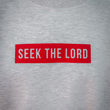 Load image into Gallery viewer, Seek the Lord Hoodie/Crewneck