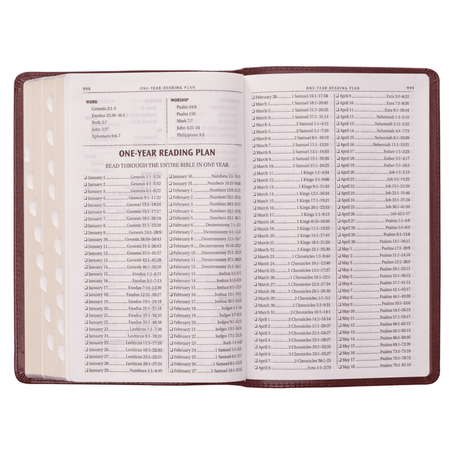 Personalized Custom Text Your Name KJV Holy Bible Standard Size Thumb Index Edition Burgundy King James Version