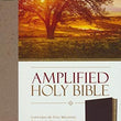 Load image into Gallery viewer, Personalized The Amplified Holy Bible Bonded Leather Burgundy
