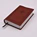 Personalized NIV Teen Study Bible COMPACT Leathersoft Brown