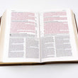 Load image into Gallery viewer, Personalized Biblia de estudio del diario Vivir tamaño (Spanish)
