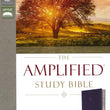 Load image into Gallery viewer, Personalized Bible with Custom Text The Amplified Study Bible Leathersoft Thumb Indexed Purple
