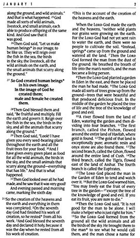 Personalized NLT The One Year Bible Slimline Edition TuTone LeatherLike Heather Gray/Pink