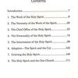 Load image into Gallery viewer, Spurgeon On The Holy Spirit - Charles H. Spurgeon
