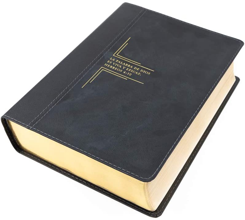 Personalized Biblia De Estudio Del Diario Vivir RVR60 Letra Grande (Spanish)