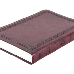 Personalized Custom Text Your Name ESV Premium Gift Bible TruTone Mahogany Border Design