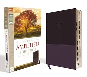 Personalized Bible with Custom Text The Amplified Study Bible Leathersoft Thumb Indexed Purple