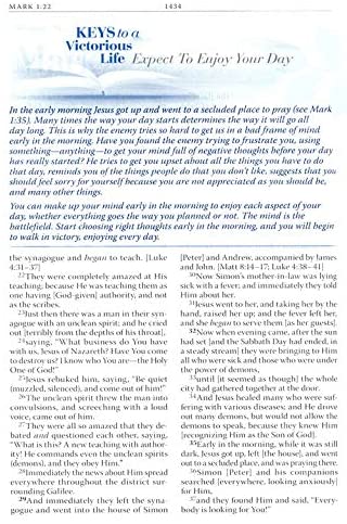 Personalized Battlefield of The Mind Bible: Renew Your Mind Through The Power of God's Word Blue