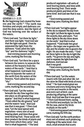 Personalized NLT The One Year Bible Slimline Edition TuTone LeatherLike Heather Gray/Pink