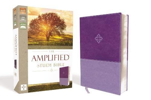 Personalized The Amplified Study Bible Leathersoft Purple Amplified Bible