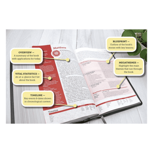 Personalized Custom Text Your Name NIV Life Application Study Bible Third Edition Large Print Black Bonded Leather Red Letter Edition