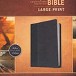 Load image into Gallery viewer, Personalized Every Man&#39;s Bible NIV Large Print TuTone LeatherLike Study Bible for Men
