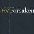 Load image into Gallery viewer, Not Forsaken - Louie Giglio

