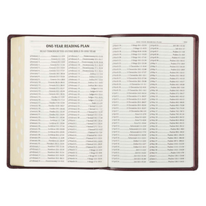 Personalized KJV Holy Bible Thinline Large Print Navy Faux Leather w/Thumb Index King James Version