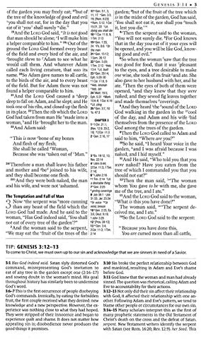 Personalized NKJV Evangelism Study Bible Hardcover