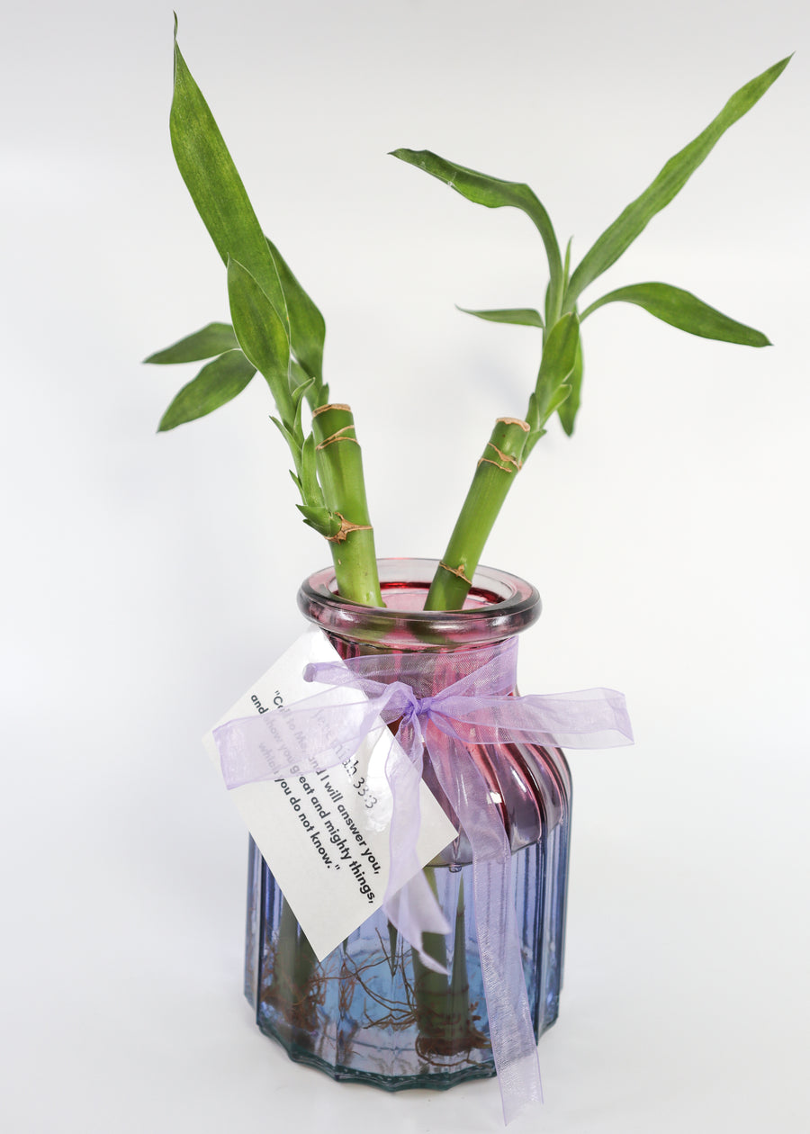 Bamboos in Scripture Verses Pink Glass Vase