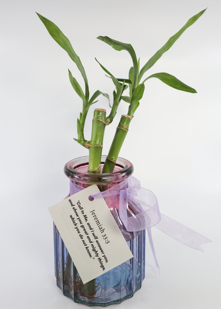 Bamboos in Scripture Verses Pink Glass Vase