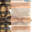 Load image into Gallery viewer, Christianity, Cults, &amp; Religions Pamphlet

