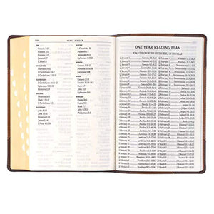 Personalized KJV Holy Bible Giant Print Full-Size Two-Tone Brown Faux Leather