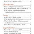 Load image into Gallery viewer, Trials [Hope For The Heart Series] - June Hunt
