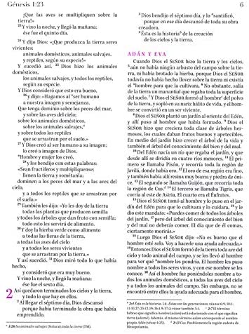 Personalized NVI Verdadera Identidad La Biblia para la Mujer de hoy (Spanish Edition)