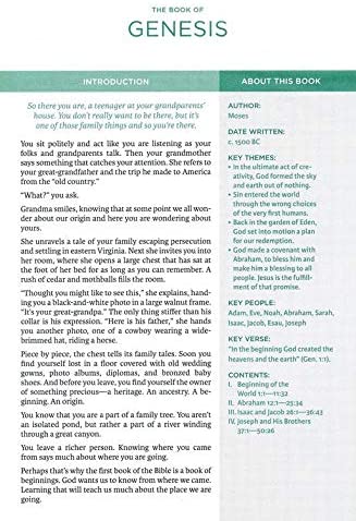 Personalized NKJV Lucado Encouraging Word Bible Leathersoft Blue Comfort Print Thumb Indexed