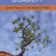 Load image into Gallery viewer, Chronic Illness &amp; Disability [Hope For The Heart Series] - June Hunt
