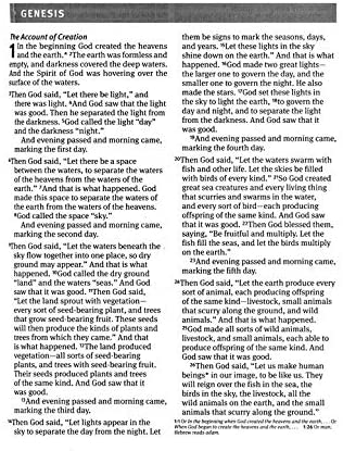 Personalized NLT Premium Value Slimline Bible Large Print Cross LeatherLike Sienna